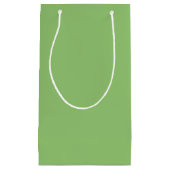 True Pistachio Green Kleine Geschenktüte (Vorderseite)