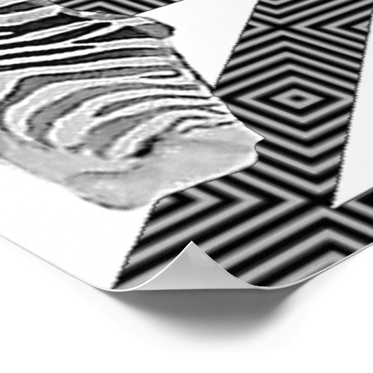 True Zebra Poster Print (Ecke)