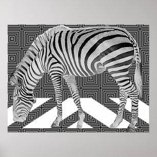 True Zebra Poster Print