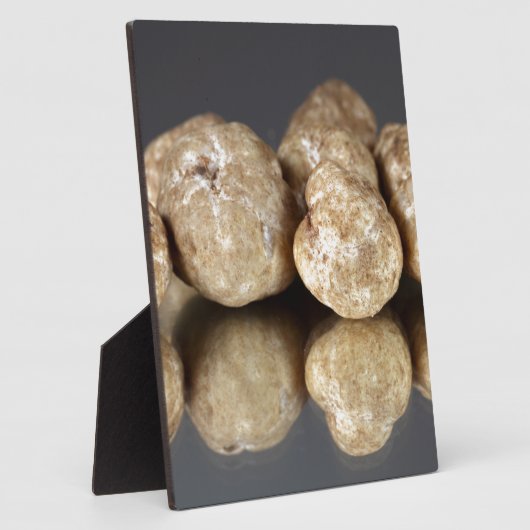 Trüffel Tuber oligospermum Fotoplatte (Seite)