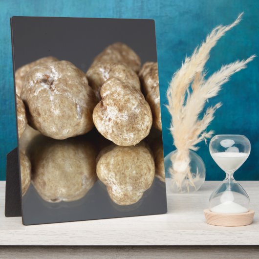 Trüffel Tuber oligospermum Fotoplatte (Seite)