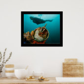 Truk Lagoon - Fujikawa Maru - Telegraph on Bow Poster (Küche)