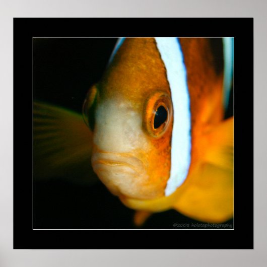 Truk Yamagiri Maru 009bcr Poster (Vorne)