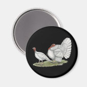 Trukeys White Hollands Magnet (Vorderseite/Rückseite)