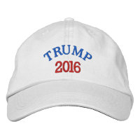 TRUMP 2016 Basisobereinigbare Obergrenze