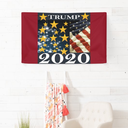 TRUMP 2020 BANNER (Insitu)