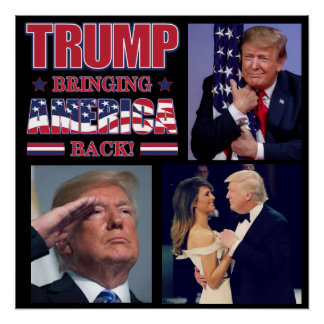 Trump 2020 bringt Amerika zurück Poster