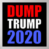 Trump 2020 gegen Trump Poster (Vorne)
