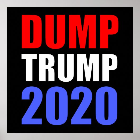 Trump 2020 gegen Trump Poster (Vorne)