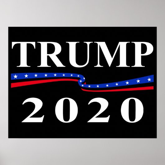 Trump 2020 poster (Vorne)