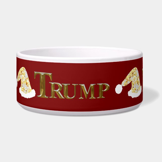 TRUMP 2024 NAPF (Vorderseite)