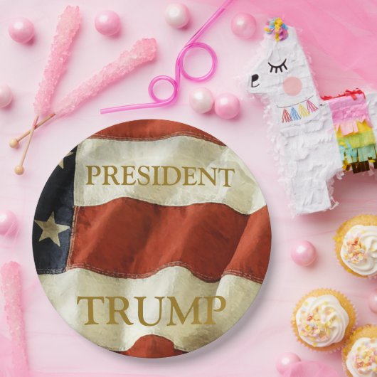 Trump 2024 pappteller (Party)