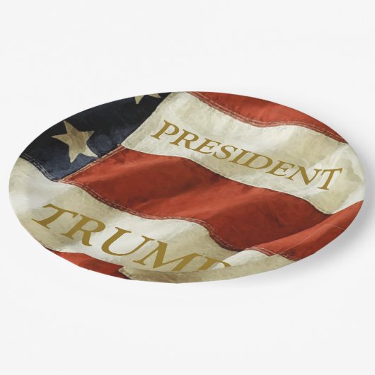 Trump 2024 pappteller (Schrägansicht)