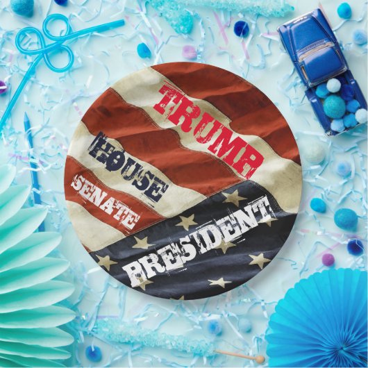 TRUMP 2024 PAPPTELLER (Party)