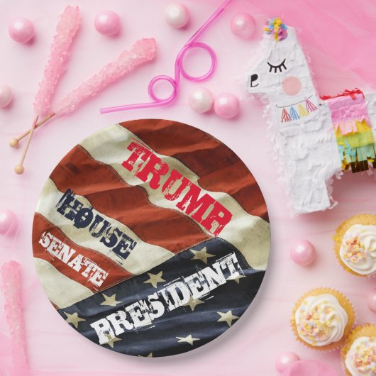 TRUMP 2024 PAPPTELLER (Party)