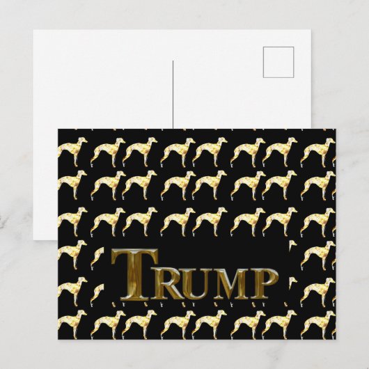 TRUMP 2024 POSTKARTE (Vorne/Hinten)