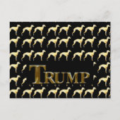 TRUMP 2024 POSTKARTE (Vorderseite)