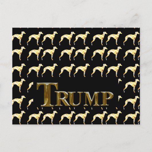 TRUMP 2024 POSTKARTE (Vorderseite)