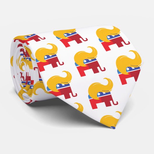 Trump 2024 Präsidentschaftswahl Krawatte (Gerollt)