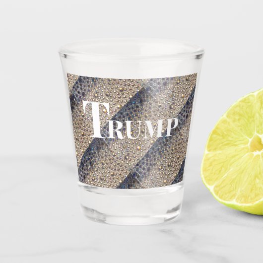 TRUMP 2024 SCHNAPSGLAS (Vorderseite)
