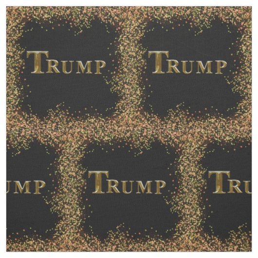 TRUMP 2024 STOFF (Muster)