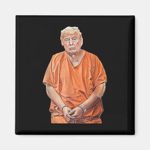 Trump 20-24 Jahre im Gefängnis Funny Anti-Trump Magnet