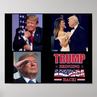 Trump - Amerika zurück bringen Poster