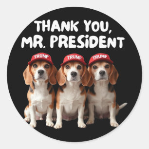 Trump-Beagle für Trump-Unterstützer Downer Man Wo Runder Aufkleber