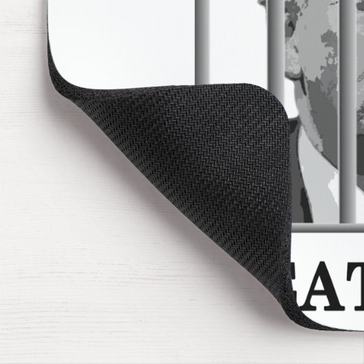 Trump Behind Bars Mousepad (Ecke)