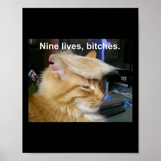 Trump Cat Nine Lives Funny Trump 2024 Vote Electio Poster (Vorne)