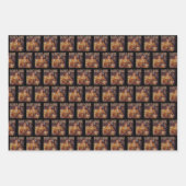 Trump Daddys Zuhause White House | Trump-Leopard-G Geschenkpapier Set (Vorderseite 3)