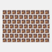 Trump Daddys Zuhause White House | Trump-Leopard-G Geschenkpapier Set (Vorderseite)