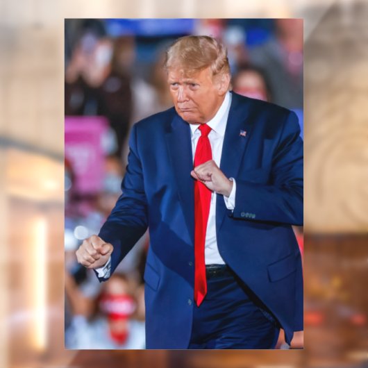 Trump Dance Funny Fensteraufkleber (Blatt 2)