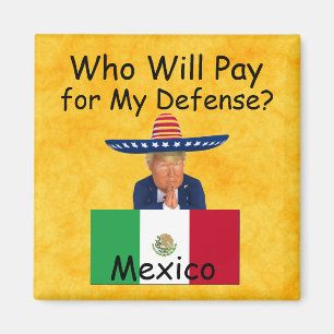 Trump Defense Magnet