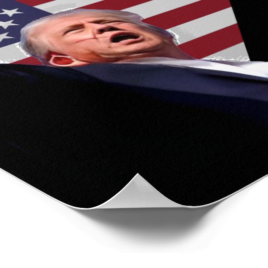 Trump Defiant Poster (Ecke)