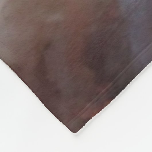 "Trump, der amerikanische Ritterblanket Fleecedecke (Ecke)