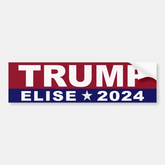 Trump Elise Stefanik 2024 Autoaufkleber (Vorne)