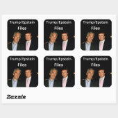 Trump/Epstein Files Sticker (Blatt)