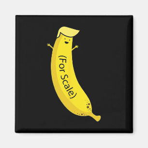 Trump Es ist Nana (für Maßstäbe) Funny Magnet