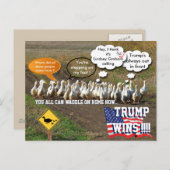 Trump gewinnt postkarte (Vorne/Hinten)
