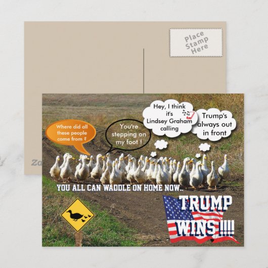 Trump gewinnt postkarte (Vorne/Hinten)