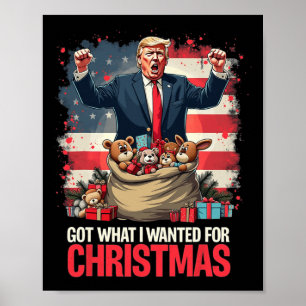 Trump gewinnt Präsident 2024 - Got, was ich für C  Poster