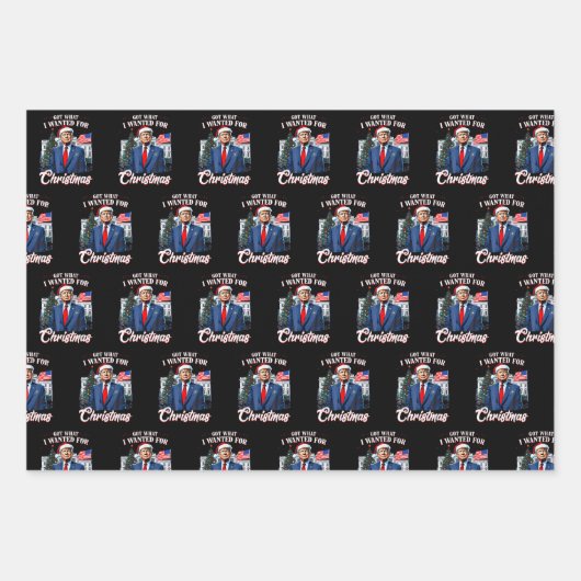 Trump Got What I Wanted for Christmas Geschenkpapier Set (Vorderseite)