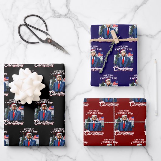 Trump Got What I Wanted for Christmas Geschenkpapier Set (Vorderseite)
