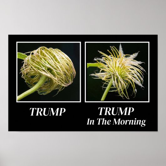 Trump Hair Poster (Vorne)