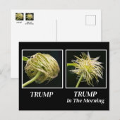 Trump Hair Postkarte (Vorne/Hinten)