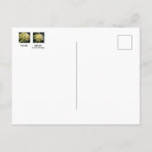 Trump Hair Postkarte (Rückseite)