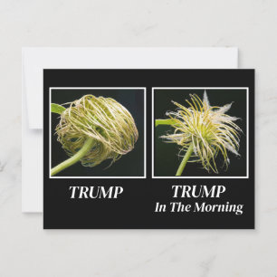Trump Hair Postkarte