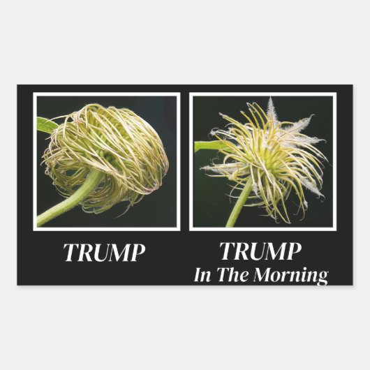 Trump Hair Rechteckiger Aufkleber (Vorderseite)