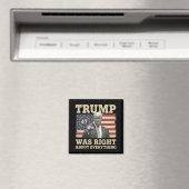 Trump hatte recht über alles, was die USA angeht Magnet (In Situ (Geschirrspüler))